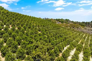 27 Via Escalon, Temecula, CA 92590 - Photo 7