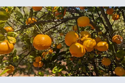 27 Via Escalon, Temecula, CA 92590 - Photo 1