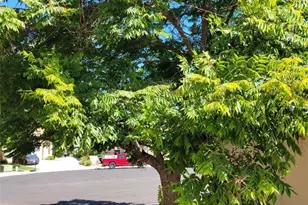 39897 Verono Corte, Murrieta, CA 92562 - Photo 11