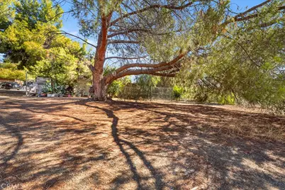 35160 Maples, Wildomar, CA 92595 - Photo 5