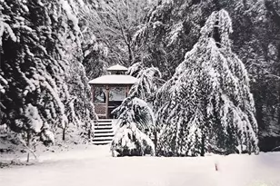 323 Alder, Lytle Creek, CA 92358 - Photo 45