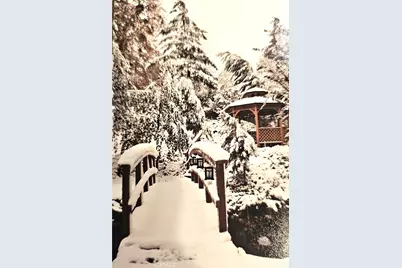 323 Alder, Lytle Creek, CA 92358 - Photo 47