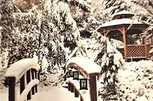 323 Alder, Lytle Creek, CA 92358 - Photo 47