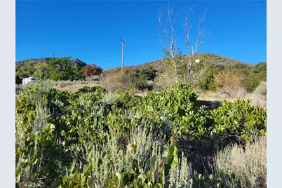 44451 Jay Dr, Anza, CA 92539 - Photo 29