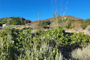 44451 Jay Dr, Anza, CA 92539 - Photo 29