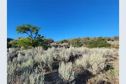 44451 Jay Dr, Anza, CA 92539 - Photo 39