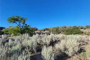 44451 Jay Dr, Anza, CA 92539 - Photo 39