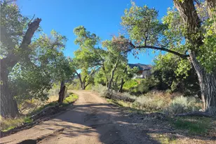 44451 Jay Dr, Anza, CA 92539 - Photo 3