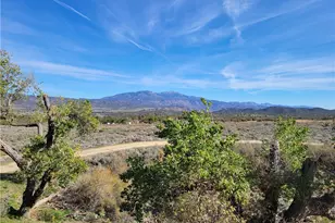 44451 Jay Dr, Anza, CA 92539 - Photo 35