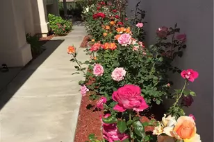 40083 Corte Lorca, Murrieta, CA 92562 - Photo 51