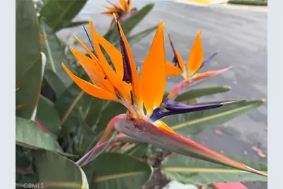 1540 W Artesia Square #G, Gardena, CA 90248 - Photo 23