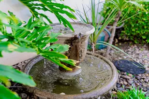 2026 Cashew Tree, Hemet, CA 92545 - Photo 5