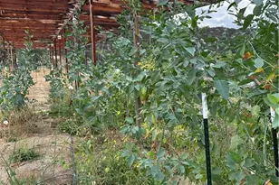 34930 Benton Rd, Hemet, CA 92544 - Photo 45