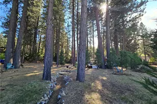 41307 Park Ave, Big Bear Lake, CA 92315 - Photo 49