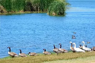 40120 Lakeshore, Aguanga, CA 92536 - Photo 51