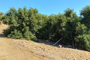 3 Via Vaquero, Temecula, CA 92590 - Photo 31