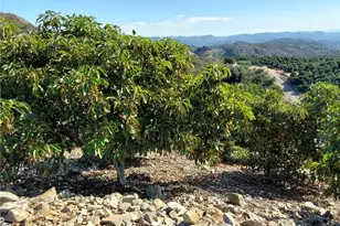 3 Via Vaquero, Temecula, CA 92590 - Photo 19