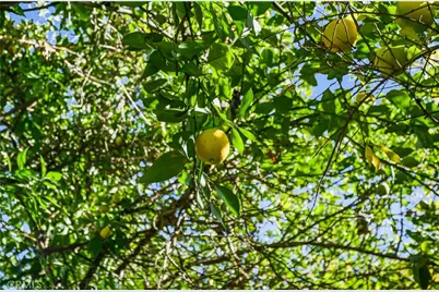 26850 Columbia Street, Hemet, CA 92544 - Photo 43