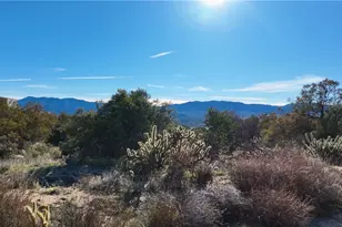 42475 La Brinia, Anza, CA 92539 - Photo 5