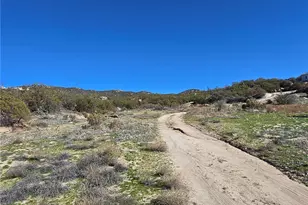 42475 La Brinia, Anza, CA 92539 - Photo 45