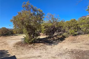 42475 La Brinia, Anza, CA 92539 - Photo 41