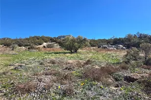 42475 La Brinia, Anza, CA 92539 - Photo 47