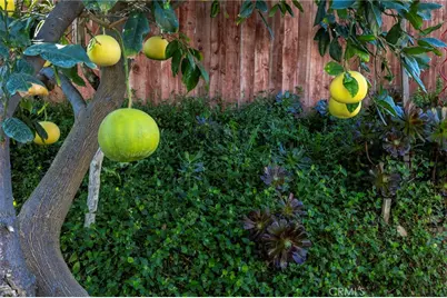 10022 Chula Vista Way, Riverside, CA 92503 - Photo 27