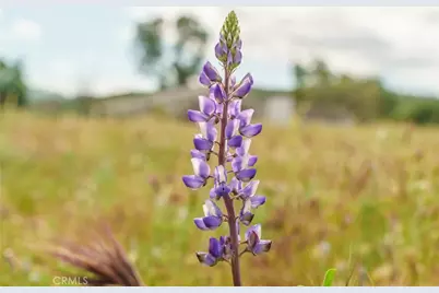 33041 Briggs Road, Menifee, CA 92584 - Photo 37