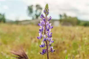 33041 Briggs Rd, Menifee, CA 92584 - Photo 37