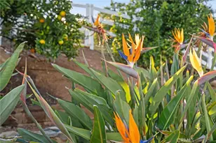 40055 Valle Vista, Murrieta, CA 92562 - Photo 57