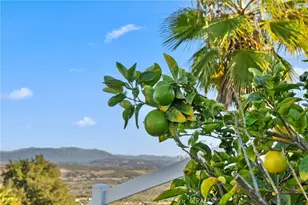 40055 Valle Vista, Murrieta, CA 92562 - Photo 55