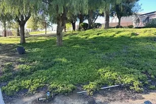 32830 Shrimp, Winchester, CA 92596 - Photo 13