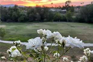 40581 Via Amapola, Murrieta, CA 92562 - Photo 7