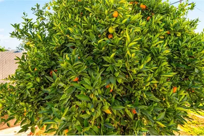 28960 Olympia, Menifee, CA 92586 - Photo 37