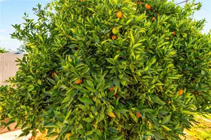 28960 Olympia, Menifee, CA 92586 - Photo 37