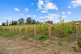 41309 Avenida Biona, Temecula, CA 92591 - Photo 35