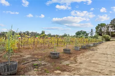 41309 Avenida Biona, Temecula, CA 92591 - Photo 33