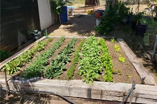 57745 Bailey, Anza, CA 92539 - Photo 57