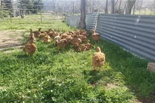 57745 Bailey, Anza, CA 92539 - Photo 45