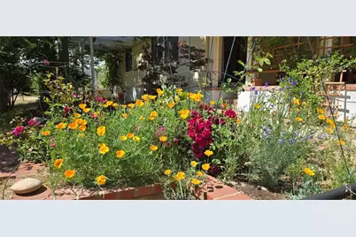 57745 Bailey, Anza, CA 92539 - Photo 57