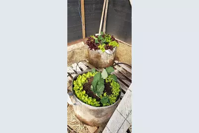 57745 Bailey, Anza, CA 92539 - Photo 47