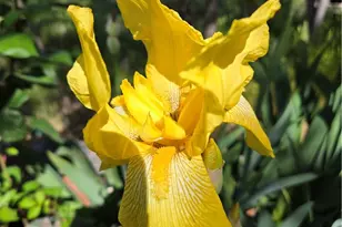 57745 Bailey, Anza, CA 92539 - Photo 51