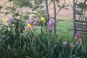 57745 Bailey, Anza, CA 92539 - Photo 53