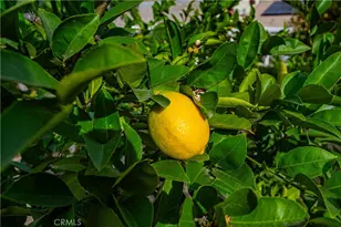 29629 Big Range Rd, Canyon Lake, CA 92587 - Photo 43