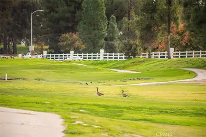 40624 Corte Albara, Murrieta, CA 92562 - Photo 37