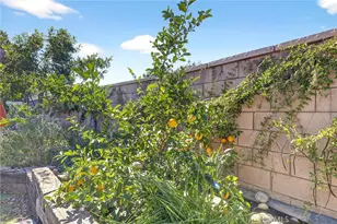 3470 Yellowstone Ct, Perris, CA 92570 - Photo 41