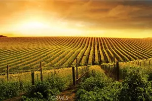 31598 Summerfield Ln, Murrieta, CA 92563 - Photo 47