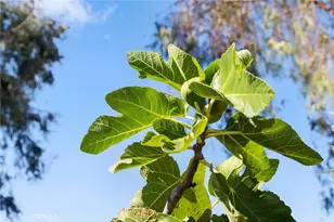 30006 Corte Cantera, Temecula, CA 92591 - Photo 47