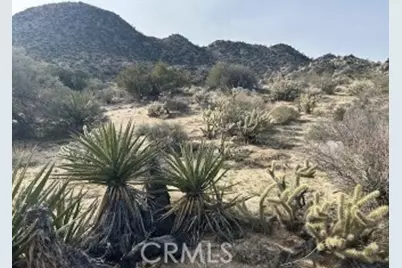 0 Hwy 74, Mountain Center, CA 92561 - Photo 3