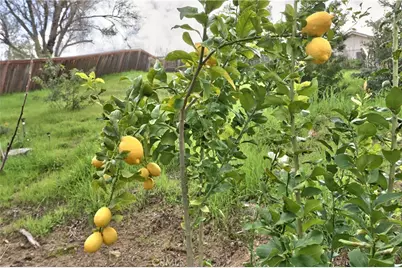 45303 Esmerado Court, Temecula, CA 92592 - Photo 41